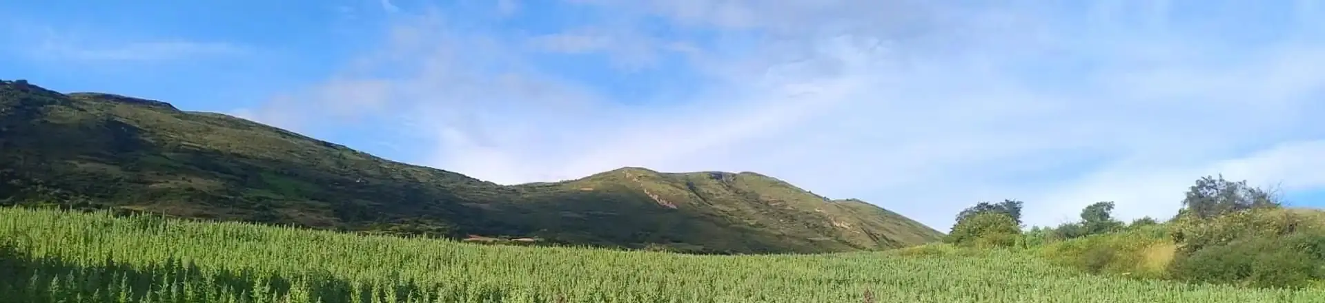 Cordillera y nevados de Curahuasi